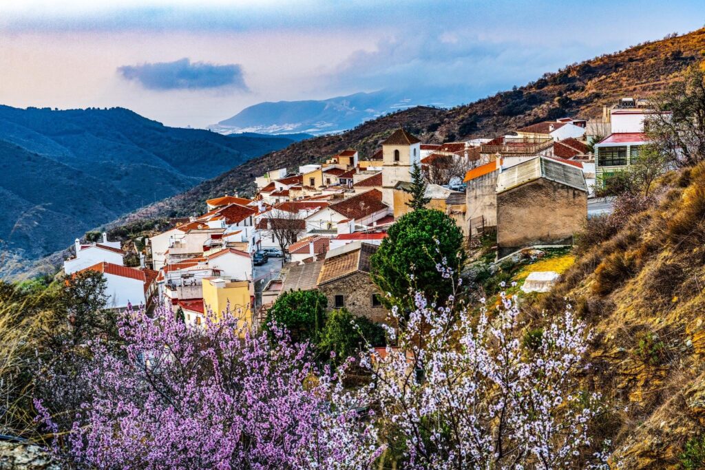 Paisaje de Rubite con almendros en primera plana